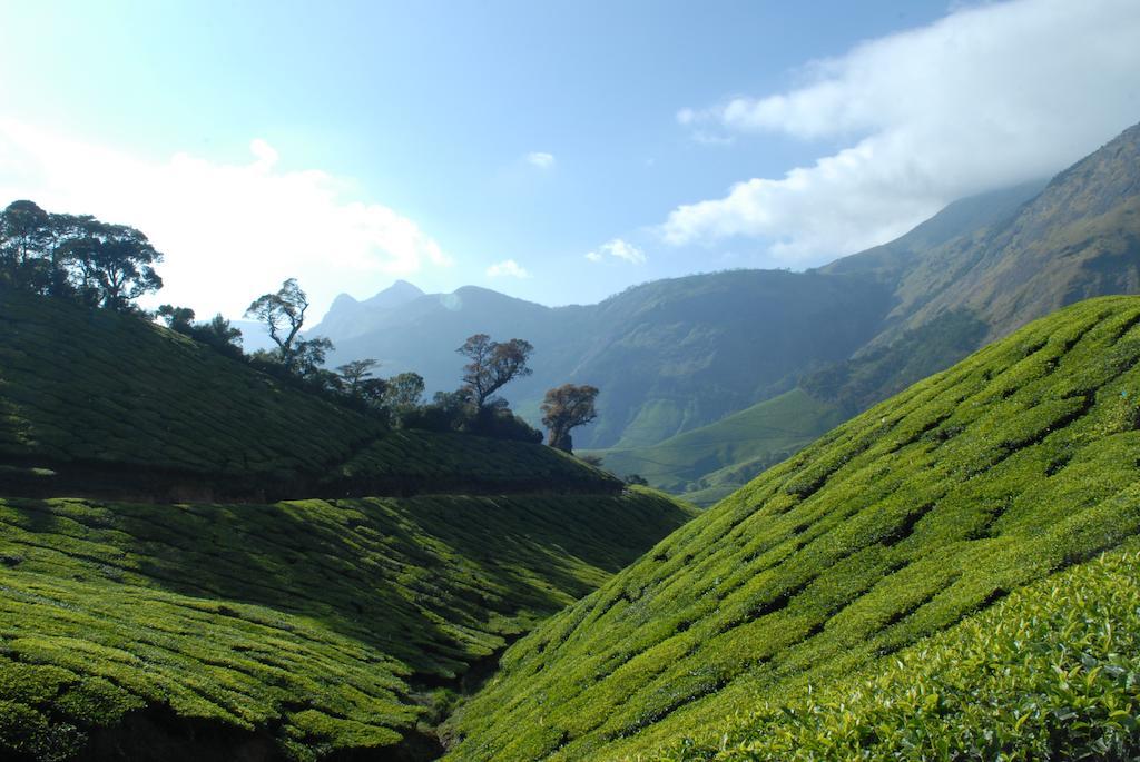 Holiday Heaven Munnar Chinnakanal Esterno foto